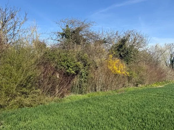 Terrain 600 m²