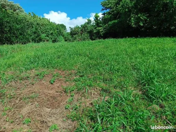 Terrain 1 167 m² Le Morne Rouge 97260