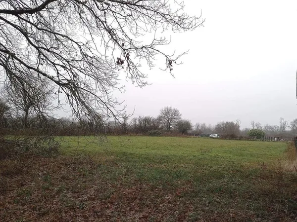 Terrain à bâtir