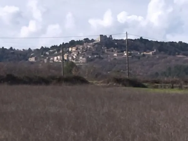 Terrain agricole