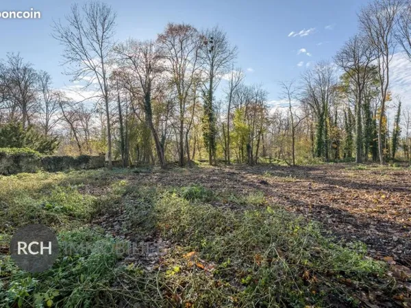 Terrain Montfort-l'Amaury
