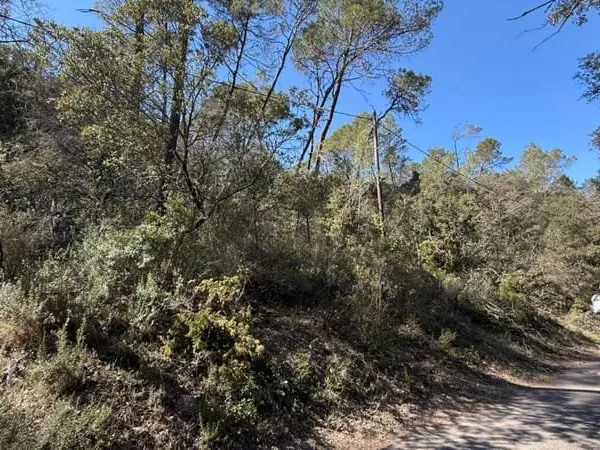 Terrain forestier 5220m² Entrecasteaux