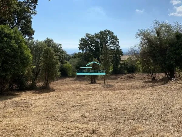 Terrain 2580 m² Cervione