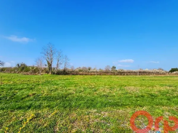 Terrain 804 m²