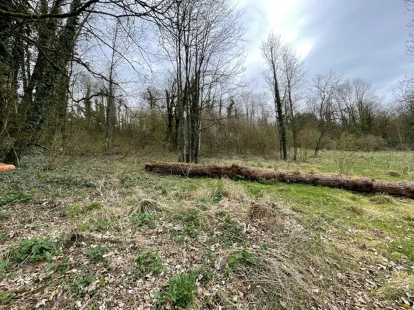 Terrain 7500 m²