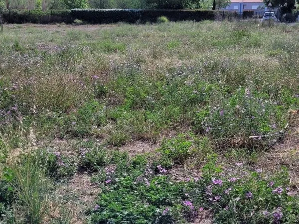 Terrain 323 m²