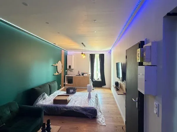 ✨ INVESTISSEMENT PREMIUM - T2 30m² Spécial Love Room / Airbnb - St-Fons Centre ✨