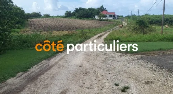 Terrain 1000 m²