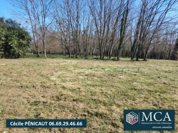 Terrain 1000 m²