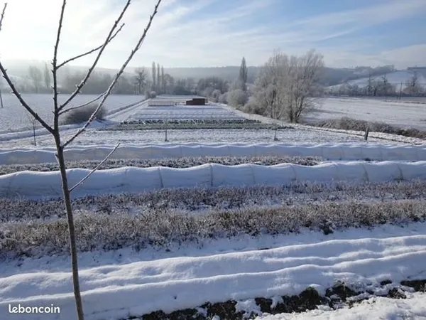 Terrain agricole maraîchage