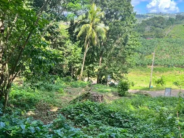 Terrain 500 m²