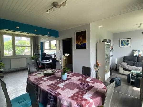 Saint-Dié-des-Vosges - Appartement lumineux 101m2 - Proche c