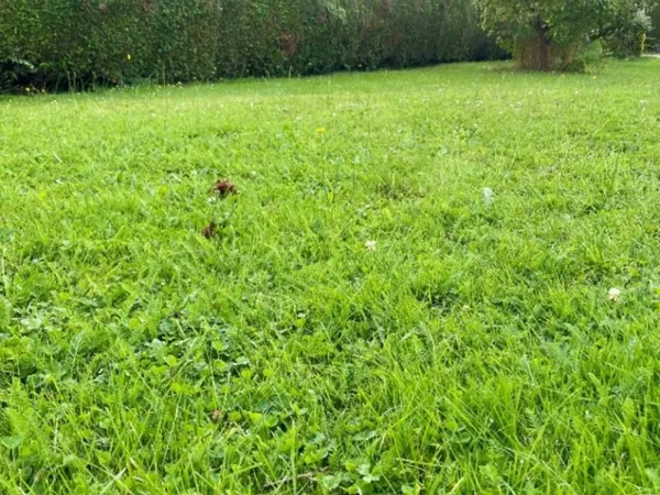 Terrain 1200 m²