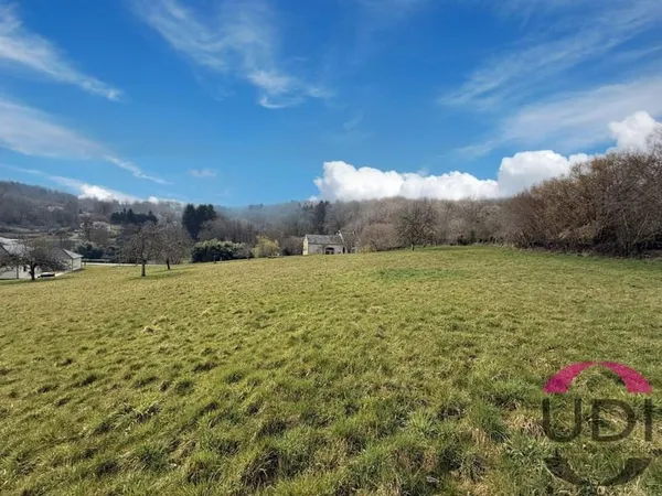 Terrain d'1 hectare sur la commune de Ste Feyre