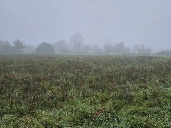 Terrain 3200 m²