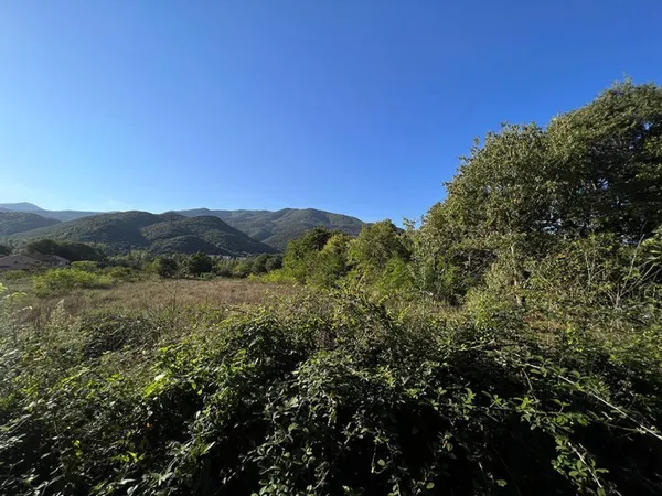 Terrain - 452