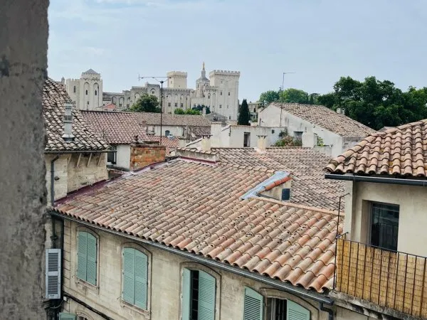 Studio 21m2 avec vue sur le Palais des papes