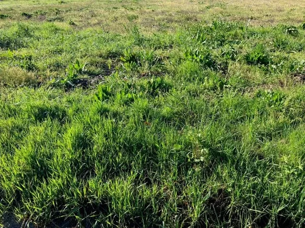 Terrain 810 m²