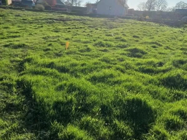 Terrain 1 300 m² Sainte Foy