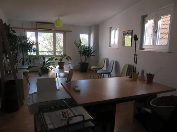 Bureau et espace de travail Location Horbourg-Wihr 2p 52m² 730€