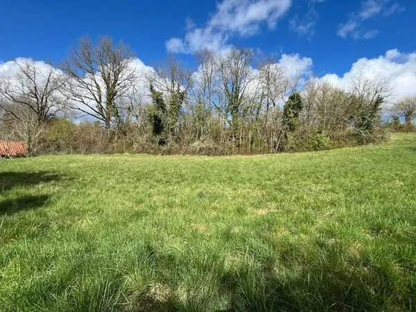 Terrain 2334 m²