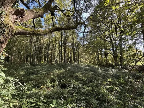 'Un écrin de verdure préservé, rare et recherché aux portes