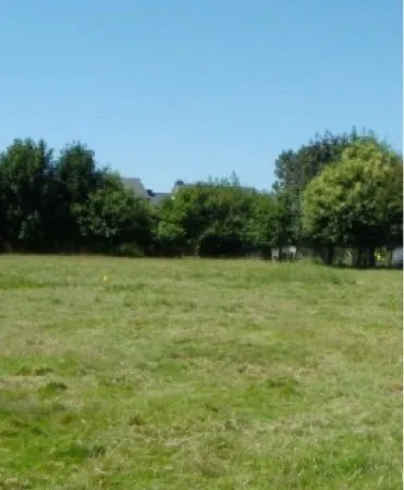 Terrain constructible vulaines sur Seine