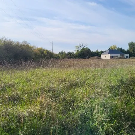 Terrain 2226 m²