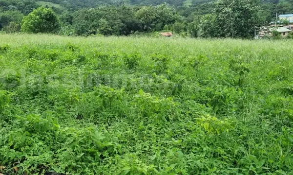 Terrain 5380 m²