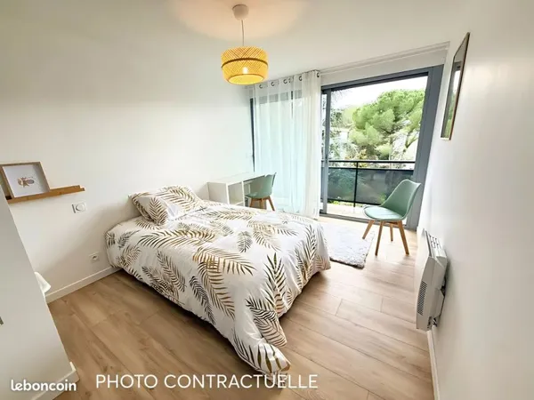 Colocation montpellier