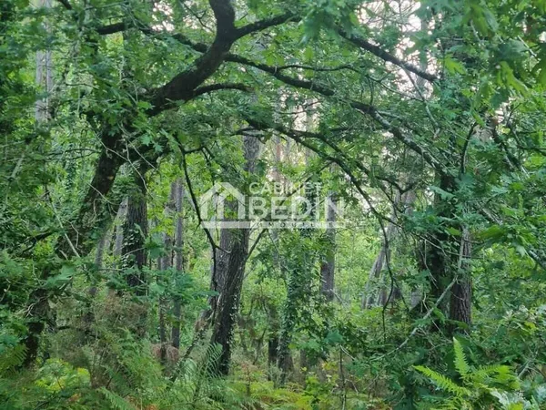 Terrain 8023 m²