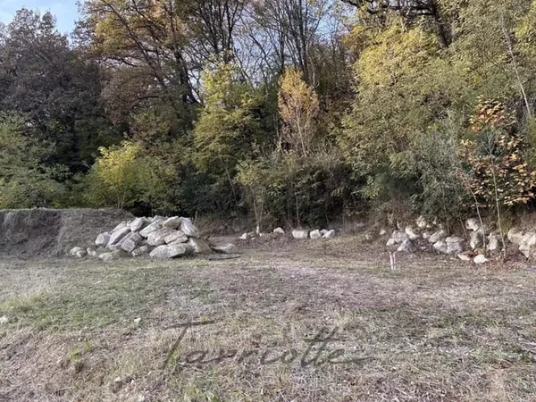 TERRAIN - 10426