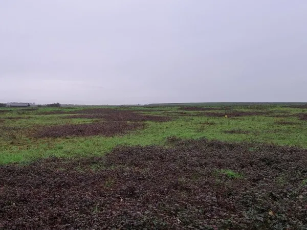 Terrain constructible