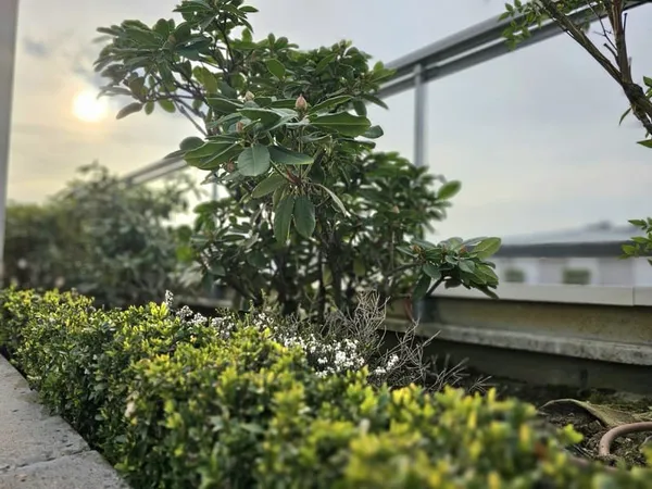 APPARTEMENT DERNIER ETAGE ASCENSEUR et TERRASSE