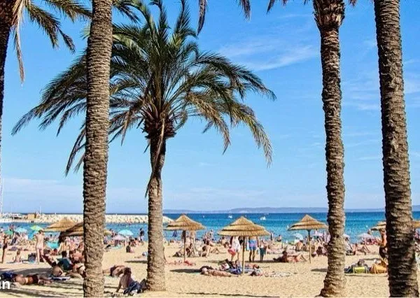 Commerce Vente Le Lavandou  30m² 80000€