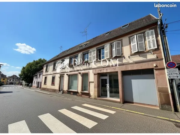 Local 239 m²