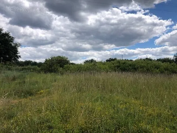Terrain 550 m²