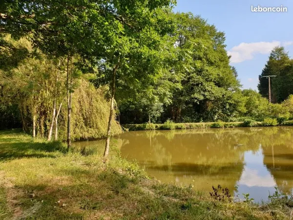 Étang terrain de loisirs bois en sarthe