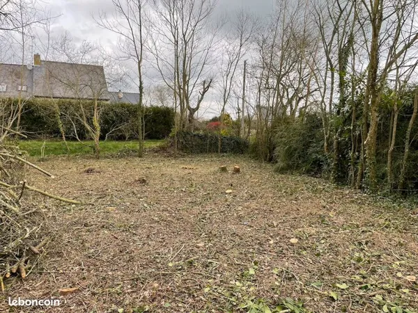 Terrain de 353 m² entouré d'arbres