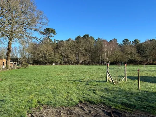 Magnifique prairie de 3 800 m² dans le bourg de Molac