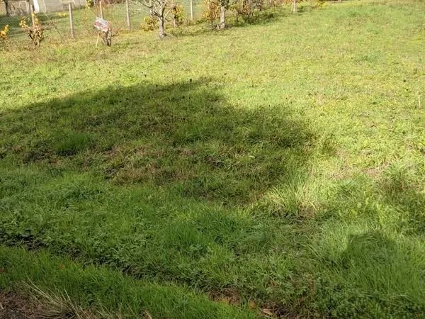 Terrain à vendre