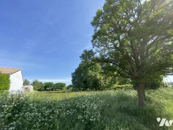 Terrain 1240 m²
