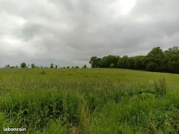 Terrain agricole