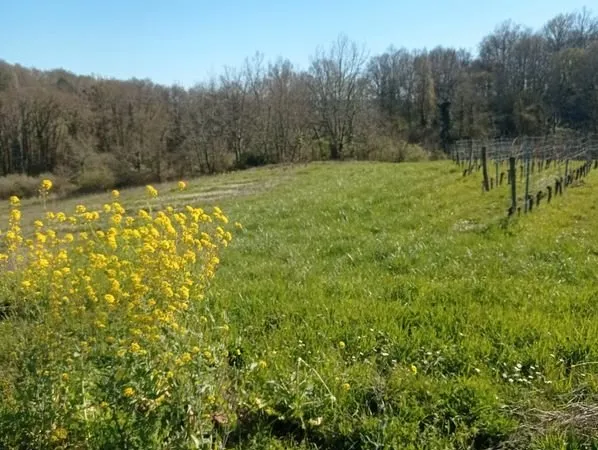 Terrain agricole