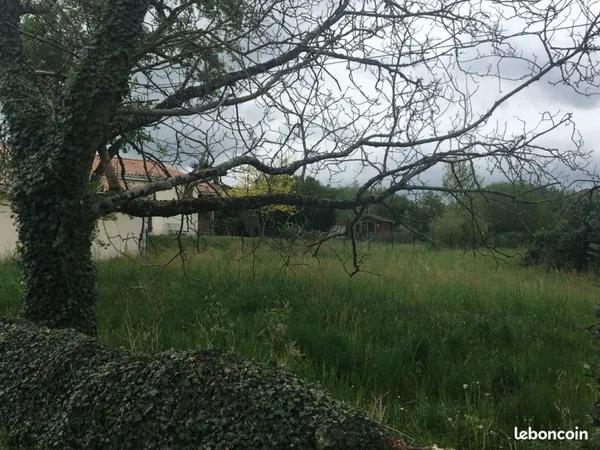 Terrain à bâtir