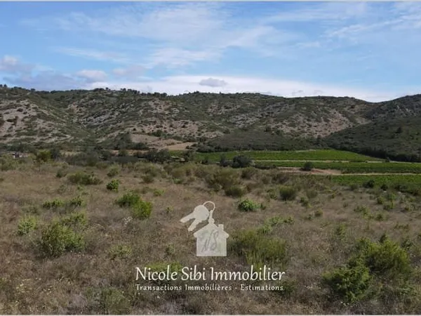 Vente terrain agricole