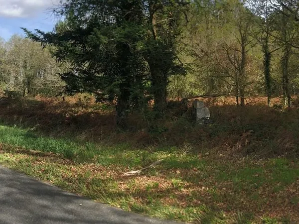 Terrain 8438m2, semi forestier, de loisirs, proche de DAX
