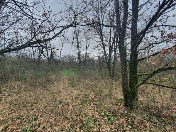 Terrain 21982 m²