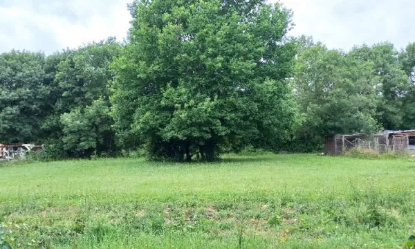 Terrain 1400 m²