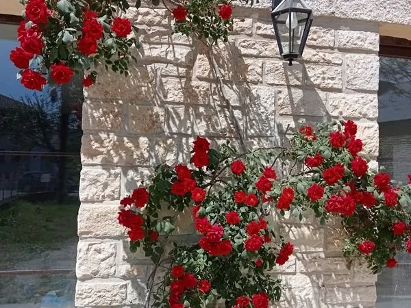 DUPLEX T4 avec jardin et dépendances à BRETENOUX (LOT)